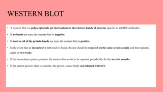 WESTERN BLOT
• A western blot is a polyacrylamide gel electrophoresis that detects bands of proteins specific to antiHIV antibodies.
• If no bands are seen, the western blot is negative.
• If most or all of the protein bands are seen, the western blot is positive.
• In the event that an inconclusive test result is found, the test should be repeated on the same serum sample and then repeated
again in two weeks.
• If the inconclusive pattern persists, the western blot needs to be repeated periodically for the next six months.
• If the pattern persists after six months, the person is most likely not infected with HIV.
 