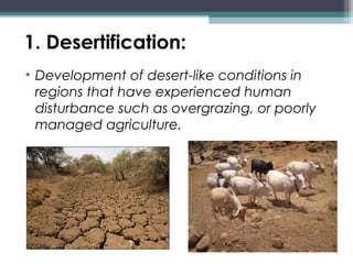 1. Desertification:
• Development of desert-like conditions in
regions that have experienced human
disturbance such as overgrazing, or poorly
managed agriculture. 
 