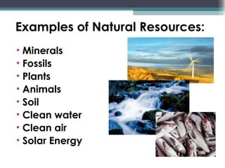 Examples of Natural Resources:
• Minerals
• Fossils
• Plants
• Animals
• Soil
• Clean water
• Clean air
• Solar Energy
 