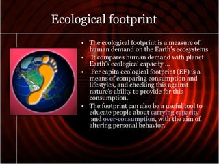 Human Impact on the natural Environment