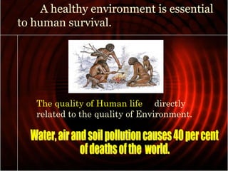 Human Impact on the natural Environment