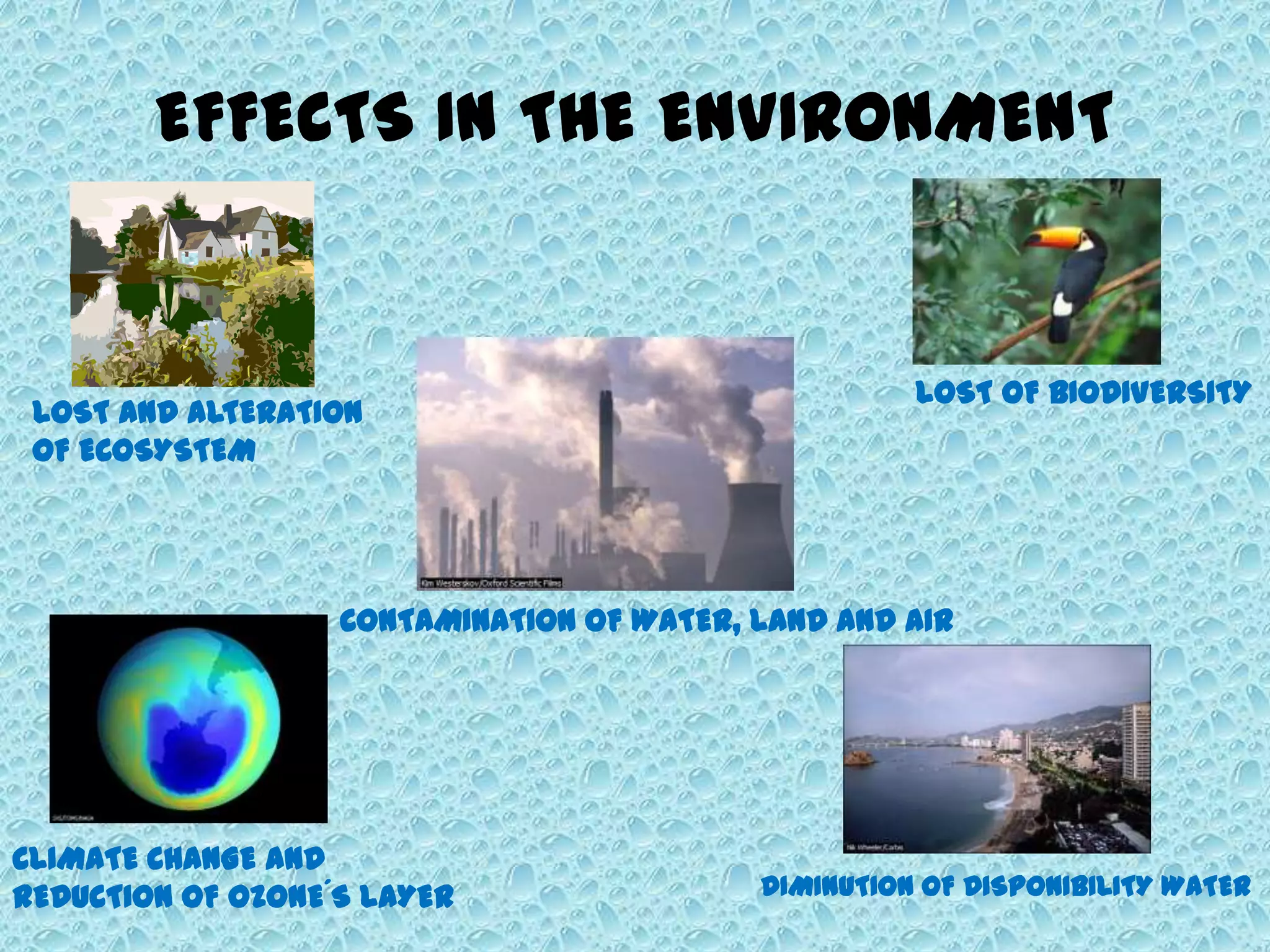 EFFECTS IN THE ENVIRONMENT
CONTAMINATION OF WATER, LAND AND AIR
LOST AND ALTERATION
OF ECOSYSTEM
LOST OF BIODIVERSITY
CLIMATE CHANGE AND
REDUCTION OF OZONE´S LAYER DIMINUTION OF DISPONIBILITY WATER
 
