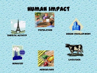 Human impact in the environment | PPTX