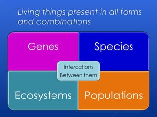 Human impact on biodiversity | PPT