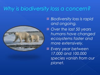 Why is biodiversity loss a concern?
                   Biodiversity loss is rapid
                   and ongoing.
                   Over the last 50 years
                   humans have changed
                   ecosystems faster and
                   more extensively.
                   Every year between
                   17,000 and 100,000
                   species vanish from our
                   planet.
 