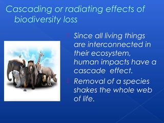 Cascading or radiating effects of
 biodiversity loss
               Since all living things
                are interconnected in
                their ecosystem,
                human impacts have a
                cascade effect.
               Removal of a species
                shakes the whole web
                of life.
 