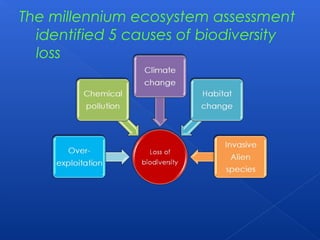 The millennium ecosystem assessment
  identified 5 causes of biodiversity
  loss
 