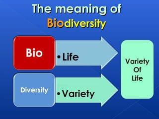 The meaning of
  Biodiversity


                 Variety
                   Of
                  Life
 