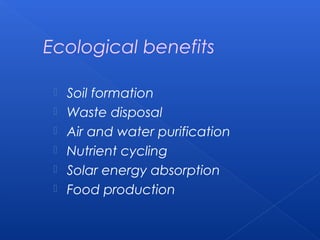 Ecological benefits

    Soil formation
    Waste disposal
    Air and water purification
    Nutrient cycling
    Solar energy absorption
    Food production
 