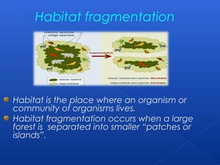 Habitat fragmentation




Habitat is the place where an organism or
community of organisms lives.
Habitat fragmentation occurs when a large
forest is separated into smaller “patches or
islands”.
 