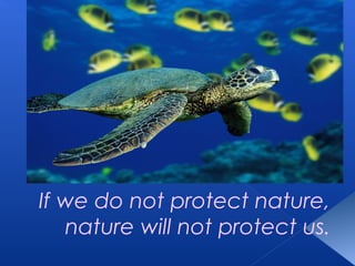 If we do not protect nature,
   nature will not protect us.
 