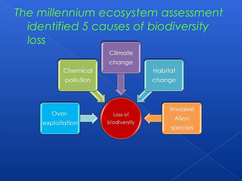 Human impact on biodiversity