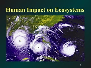 Human Impact on Ecosystems




                        1
 
