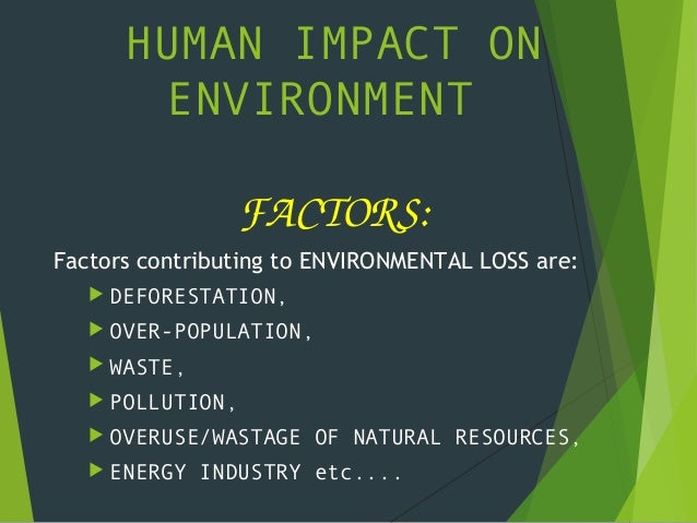 Essay on deforestation