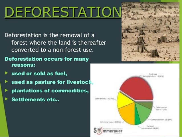 human impact environment thesis This page includes a brief, but thorough, overview of our human impact on the environment, the consequences of such an impact and one important question to consider. human impact environment thesis This page includes a brief, but thorough, overview of our human impact on the environment, the consequences of such an impact and one important question to consider.