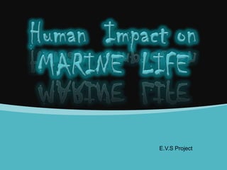 E.V.S Project

 