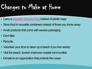 Changes to Make at Home
▪ Carry a reusable shopping bag instead of plastic bags

▪ Store food in reusable containers instead of those you throw away
▪ Avoid products that come with excess packaging
▪ Don't litter

▪ Recycle
▪ Volunteer your time to clean up a beach if you live nearby
▪ Visit the beach, tourism improves coastal communities
▪ Donate to an organization that protects the ocean

 