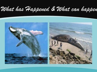 What has Happened & What can happen

 