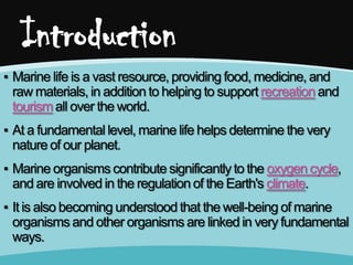 Introduction
▪ Marine life is a vast resource, providing food, medicine, and
raw materials, in addition to helping to support recreation and
tourism all over the world.
▪ At a fundamental level, marine life helps determine the very
nature of our planet.
▪ Marine organisms contribute significantly to the oxygen cycle,
and are involved in the regulation of the Earth's climate.
▪ It is also becoming understood that the well-being of marine
organisms and other organisms are linked in very fundamental
ways.

 