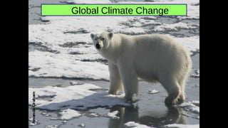 Global Climate Change
 