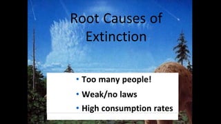 • Too many people!
• Weak/no laws
• High consumption rates
Root Causes of
Extinction
 
