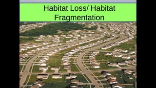 Habitat Loss/ Habitat
Fragmentation
 