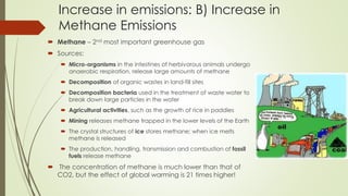 Increase in emissions: B) Increase in
Methane Emissions
 Methane – 2nd most important greenhouse gas
 Sources:
 Micro-organisms in the intestines of herbivorous animals undergo
anaerobic respiration, release large amounts of methane
 Decomposition of organic wastes in land-fill sites
 Decomposition bacteria used in the treatment of waste water to
break down large particles in the water
 Agricultural activities, such as the growth of rice in paddies
 Mining releases methane trapped in the lower levels of the Earth
 The crystal structures of ice stores methane; when ice melts
methane is released
 The production, handling, transmission and combustion of fossil
fuels release methane
 The concentration of methane is much lower than that of
CO2, but the effect of global warming is 21 times higher!
 
