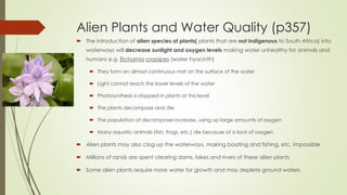 Alien Plants and Water Quality (p357)
 The introduction of alien species of plants( plants that are not indigenous to South Africa) into
waterways will decrease sunlight and oxygen levels making water unhealthy for animals and
humans e.g. Eichornia crassipes (water hyacinth)
 They form an almost continuous mat on the surface of the water
 Light cannot reach the lower levels of the water
 Photosynthesis is stopped in plants at this level
 The plants decompose and die
 The population of decomposer increase, using up large amounts of oxygen
 Many aquatic animals (fish, frogs, etc.) die because of a lack of oxygen
 Alien plants may also clog up the waterways, making boating and fishing, etc, impossible
 Millions of rands are spent clearing dams, lakes and rivers of these alien plants
 Some alien plants require more water for growth and may deplete ground waters
 