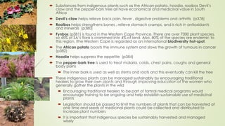  Substances from indigenous plants such as the African potato, hoodia, rooibos Devil’s
claw and the pepper-bark tree all have economical and medicinal value in South
Africa
 Devil’s claw helps relieve back pain, fever , digestive problems and arthritis (p378)
 Rooibos helps strengthens bones , relieve stomach cramps, and is rich in antioxidants
and minerals (p380)
 Fynbos (p381) is found in the Western Cape Province. There are over 7300 plant species,
so 45% of SA’s flora is crammed into 4% of land. Also, 80% of the species are endemic to
this region. Ithe Western Cape is regarded as an international biodiversity hot-spot.
 The African potato boosts the immune system and slows the growth of tumours in cancer
(p382)
 Hoodia helps suppress the appetite (p384)
 The pepper-bark tree is used to treat malaria, colds, chest pains, coughs and general
body pains
 The inner bark is used as well as stems and roots and this eventually can kill the tree
 These indigenous plants can be managed sustainably by encouraging traditional
healers to grow their own plants and through improving education of the women who
generally gather the plants in the wild
 Encouraging traditional healers to be part of formal medical programs would
encourage training to be ongoing and help establish sustainable use of medicinal
plants
 Legislation should be passed to limit the numbers of plants that can be harvested at
one time and seeds of medicinal plants could be collected and distributed to
increase plant numbers
 It is important that indigenous species be sustainably harvested and managed
wisely
 