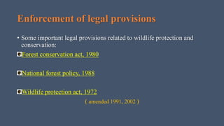 Human impact on wildlife | PPTX