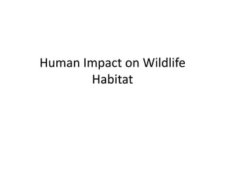 Human Impact on Wildlife
       Habitat
 