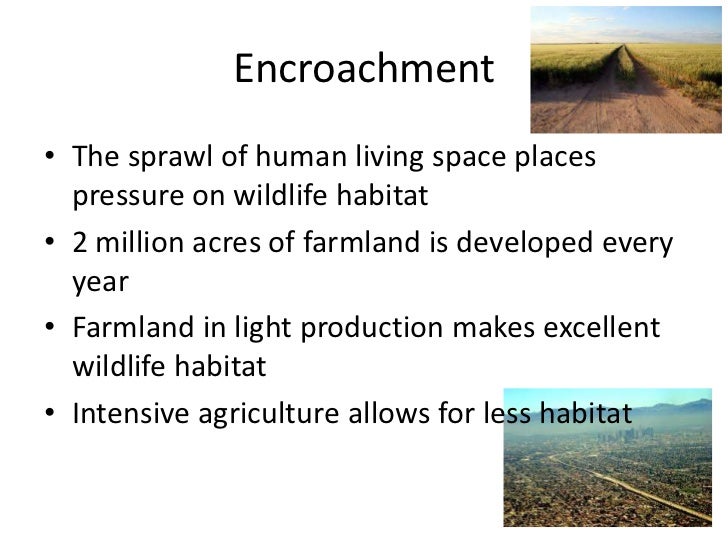 Human impact on wildlife habitat