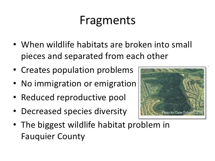 Human impact on wildlife habitat