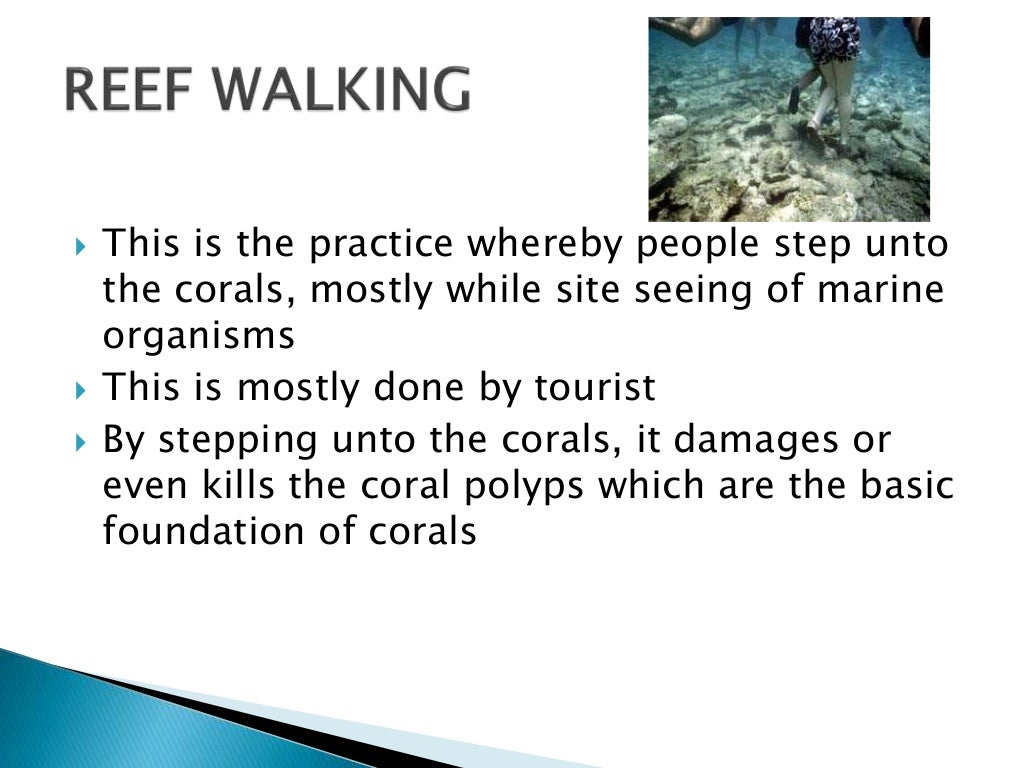 Human impacts on coral reefs