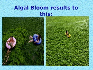 Human impacts on hydrological cycle