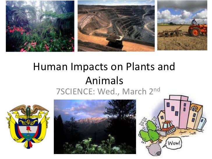 Human impacts on plants and animals