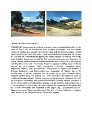 Figure 6 & 7-dam construction work
KALUGANGA reservoir and agricultural extension project area also falls within the dry
zone bio region and the intermediate zone bioregion in knuckles. The area contain
mosaic of habitats that support rich floral diversity and faunal assemblages. Among
them the kalu ganga basin area had a greater natural habitat diversity of all the habitats
the river and the riverine habitat supported the richest species assemblage followed by
tanks disturbed forests and scrublands. The natural ground spring and forest are the
unique habitats present within the human resettlement area. A total of 401 plant species
including 33 endemic and 17 nationally threatened species identified. Also 307 faunal
species will be threatened which representing butterflies, dragonflies, fishes,
amphibians, reptiles, birds and mammals. Among them 38 species are endemic to
Srilanka. Biodiversity loss fragmentation and degradation of habitats due to the
establishment of the two reservoirs are the largest impact with increased human
elephant conflict being the second and other associated developments such as
resettlement areas roads etc. Positive impact on certain species of freshwater fish, such
as Wallagoattu (shark fish), and Systomusrichmondi by providing habitats. Disruption of
the movement patterns of wide ranging species such as elephants and ungulates. Loss
of habitat in the inundation area for stream dwelling fish especially those species that
are endemic threatened and restricted to this region (eg- Dawkinsiasrilankensis ,
Systomusrichmondi, Devarioaequipinnatus). Also loss of unique habitats and migratoty
paths as well as the loss of threatened and endemic species.
 