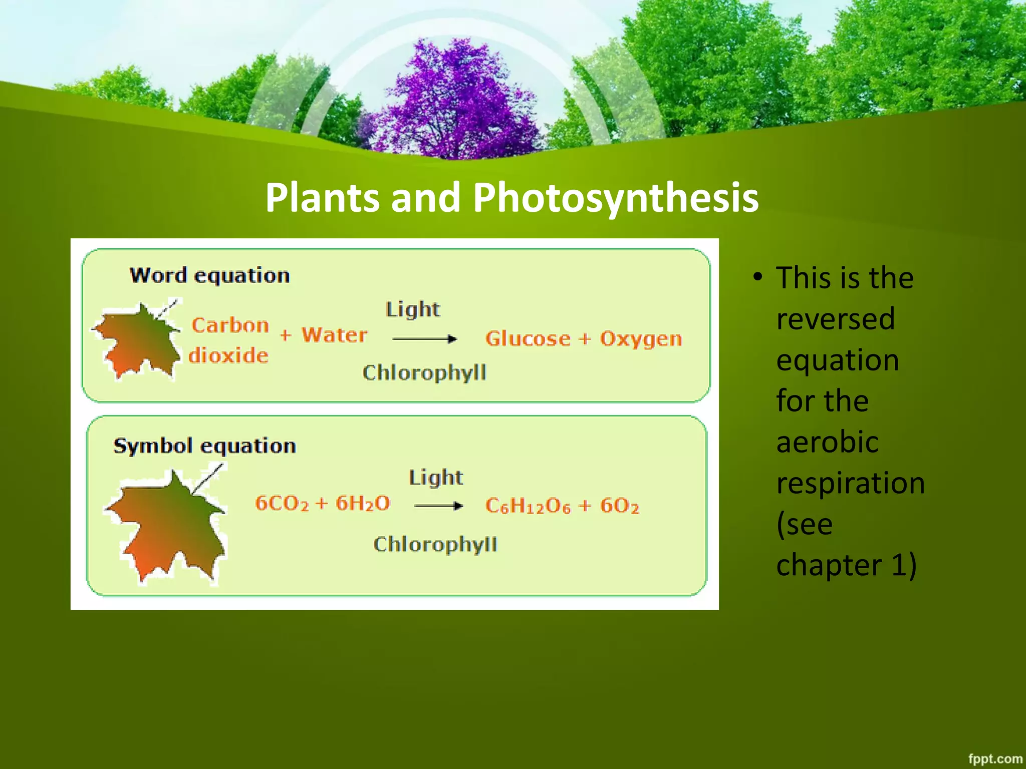 Plants and Photosynthesis
• This is the
reversed
equation
for the
aerobic
respiration
(see
chapter 1)
 