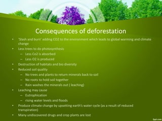 Consequences of deforestation
• ‘Slash and burn’ adding CO2 to the environment which leads to global warming and climate
change
• Less trees to do photosynthesis
– Less Co2 is absorbed
– Less O2 is produced
• Destruction of habitats and bio diversity
• Reduced soil quality
– No trees and plants to return minerals back to soil
– No roots to hold soil together
– Rain washes the minerals out ( leaching)
• Leaching may cause
– Eutrophication
– rising water levels and floods
• Produce climate change by upsetting earth’s water cycle (as a result of reduced
transpiration)
• Many undiscovered drugs and crop plants are lost
 