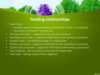 Feeding relationships
• Food chain
– simplest way of showing feeding relationship within an ecosystem
– the arrow (→) means “is eaten by”
• Primary consumer – organisms that eats the producer
• Secondary consumer – organisms that feed on the primary consumer
• Trophic levels – the different stages in a food chain
• Tertiary consumer – organisms that feed on the secondary consumers
• Quaternary consumer – organisms that feed on the tertiary consumers
• Top carnivore – the carnivore at the end of a food chain
• Food web – linking several chains together
 