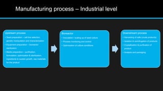 Manufacturing process – Industrial level
Upstream process
• Seed preparation – cell line selection,
genetic manipulation and characterization
• Equipment preparation – bioreactor
sterilization
• Media preparation – purification,
formulation, optimization & sterilization,
ingredients to sustain growth, raw materials
for the product
Bioreactor
• Inoculation / scaling up of seed culture
• Process monitoring and control
• Optimization of culture conditions
Downstream process
• Harvesting of cells (crude products)
• Isolation & centrifugation of products
• Crystallization & purification of
product
• Analysis and packaging
 
