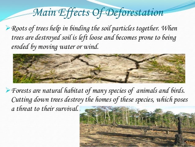 Human intervention in natural phenomena videos