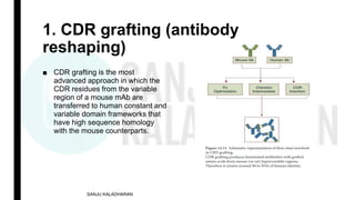 Immunotherapeutics and Humanisation of antibodies | PPTX