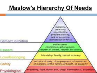 Maslow’s Hierarchy Of Needs
 
