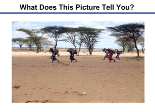 What Does This Picture Tell You?
 