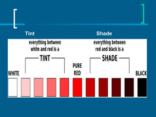 Tint Shade
 