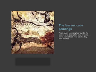 The lascaux cave paintingsThis is a very common photo found in the lascaux cave. Description: large cow, and a half of a cow’s head. They look like they have puncture 