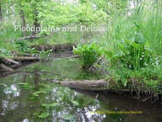 Floodplains and Deltas




                  By William. Geon,Julie and Brenda
 