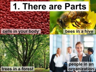 cells in your body bees in a hive
trees in a forest
people in an
organization
1. There are Parts
 