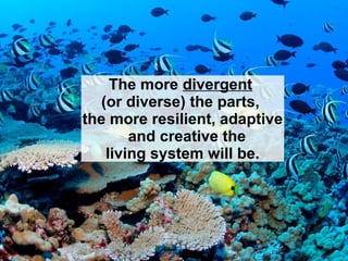 The more divergent
(or diverse) the parts,
the more resilient, adaptive
and creative the
living system will be.
 
